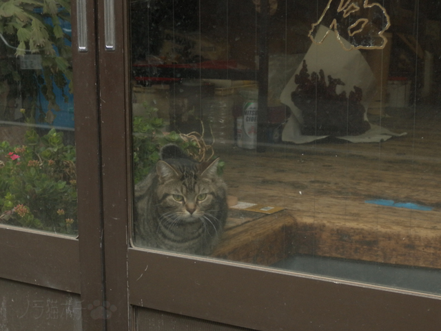 DSCN9421.jpg