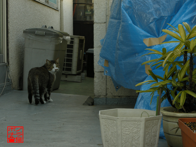 DSCN9422.jpg