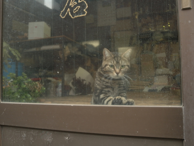 DSCN9423.jpg