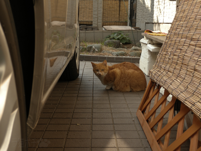 DSCN9425.jpg