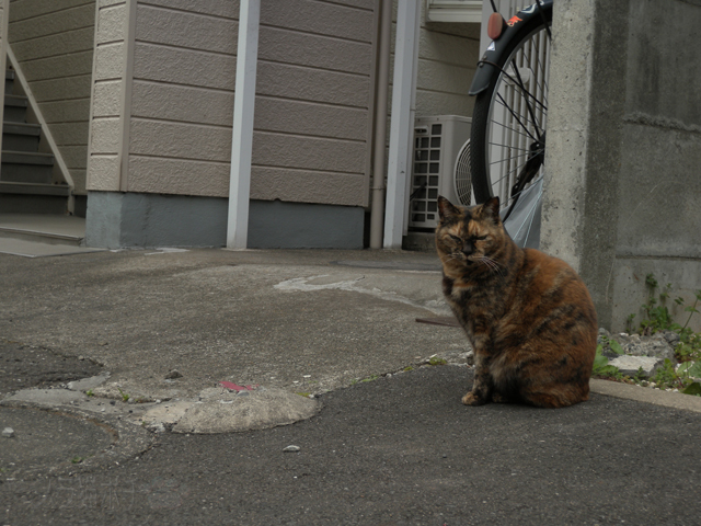 DSCN9428.jpg