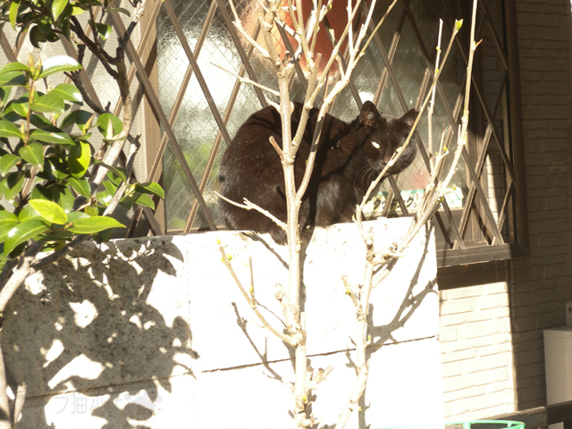 DSCN9445.jpg
