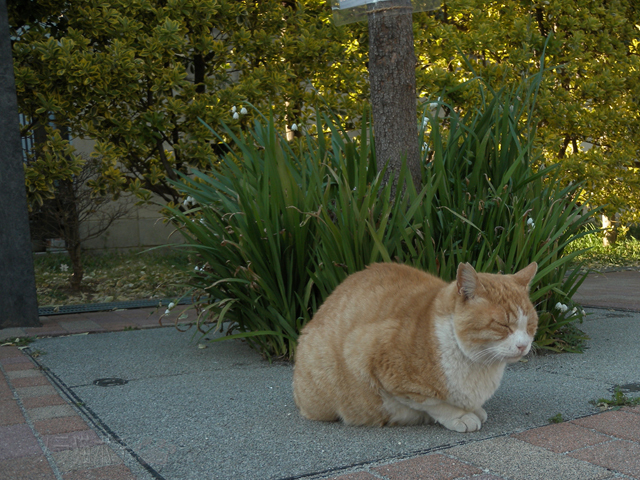 DSCN9446.jpg