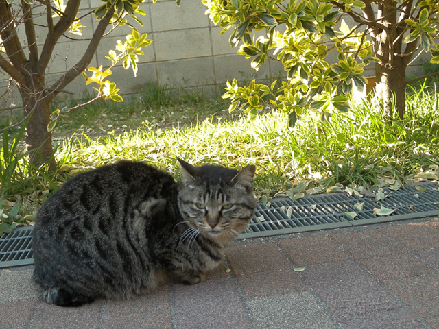 DSCN9450.jpg