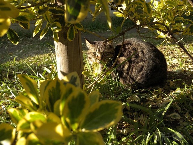 DSCN9452.jpg