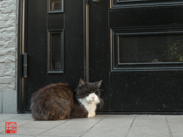 DSCN9470.jpg