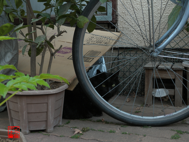 DSCN9490.jpg