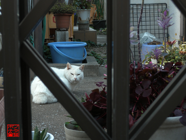 DSCN9493.jpg