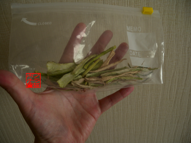 DSCN9495.jpg