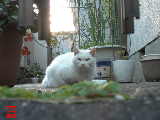 DSCN9495.jpg