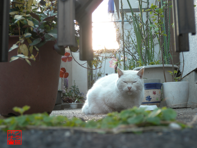 DSCN9496.jpg