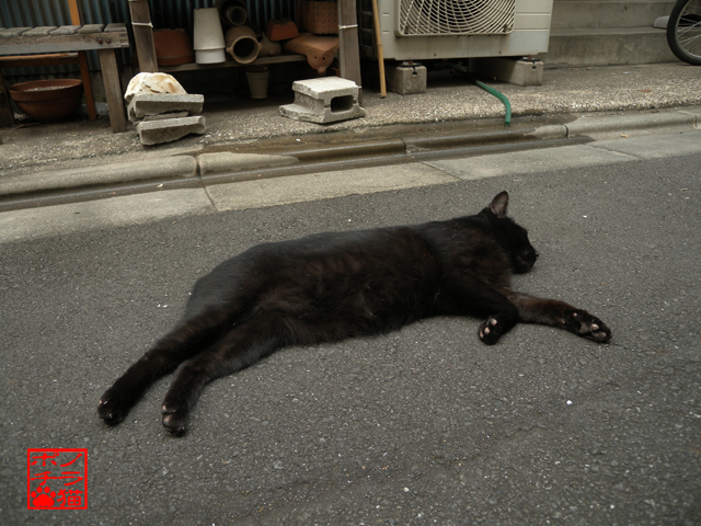 DSCN9502.jpg