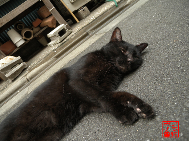 DSCN9505.jpg