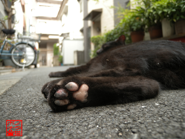 DSCN9508.jpg