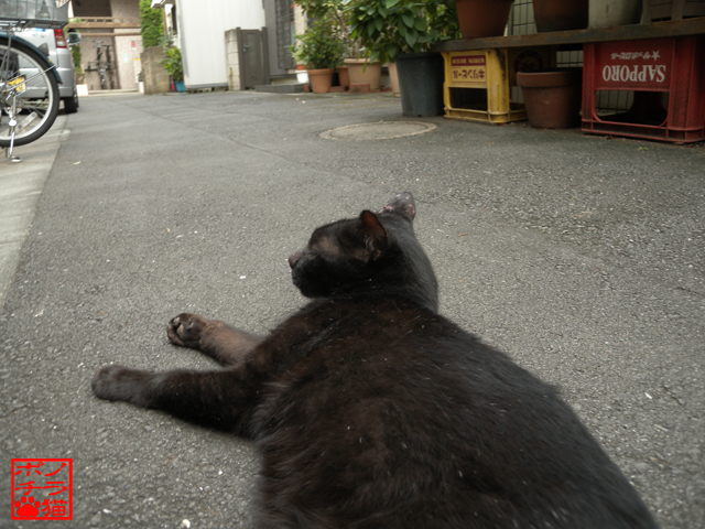 DSCN9509.jpg