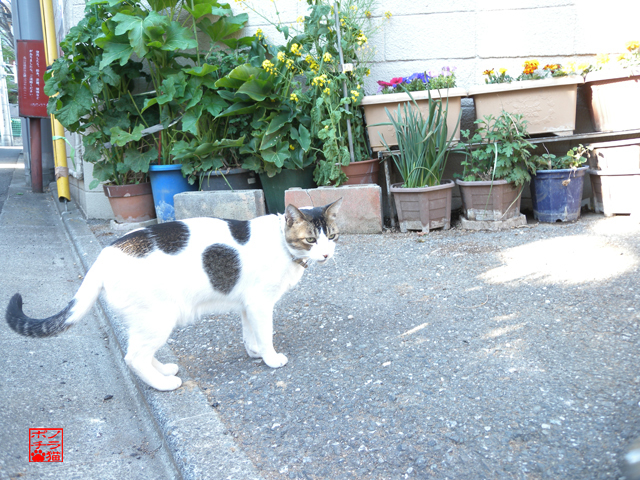 DSCN9512.jpg
