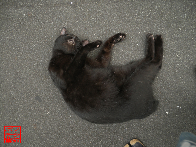 DSCN9513.jpg