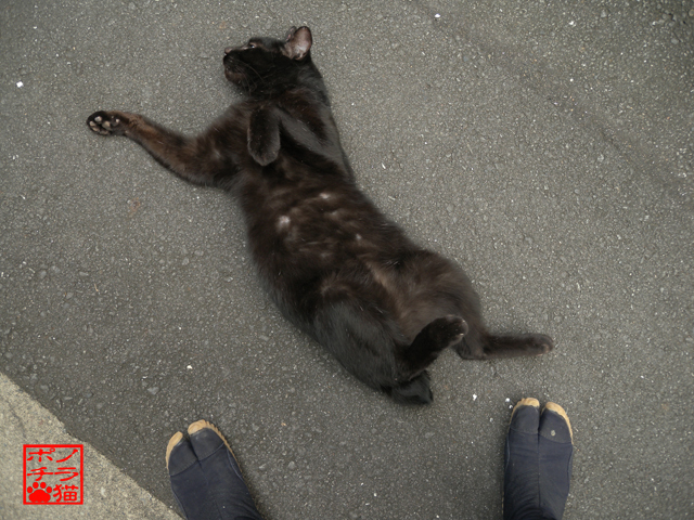 DSCN9515.jpg