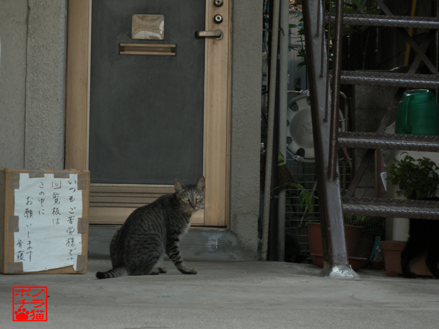 DSCN9541.jpg