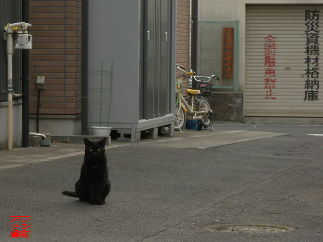 DSCN9567.jpg