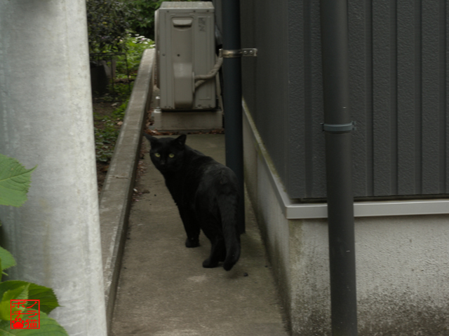DSCN9571.jpg