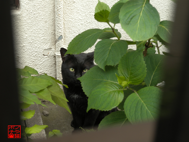 DSCN9573.jpg