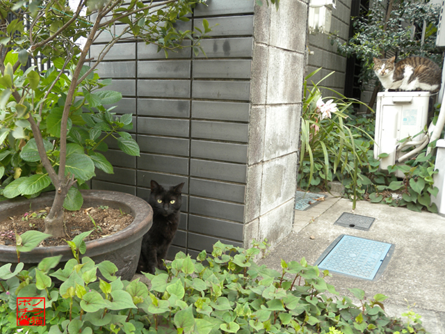 DSCN9574.jpg