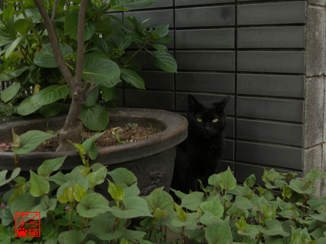 DSCN9578.jpg