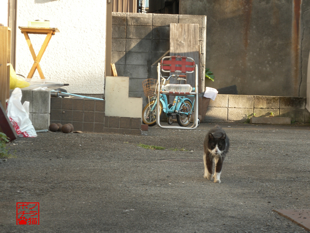 DSCN9612.jpg