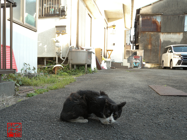 DSCN9620.jpg