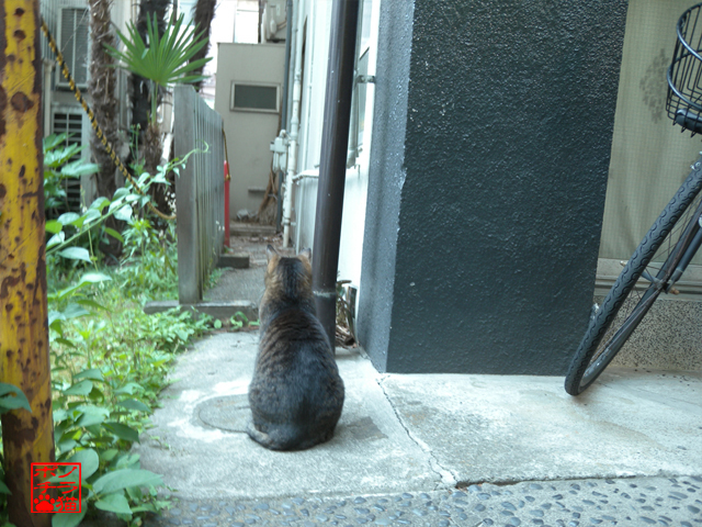 DSCN9635.jpg