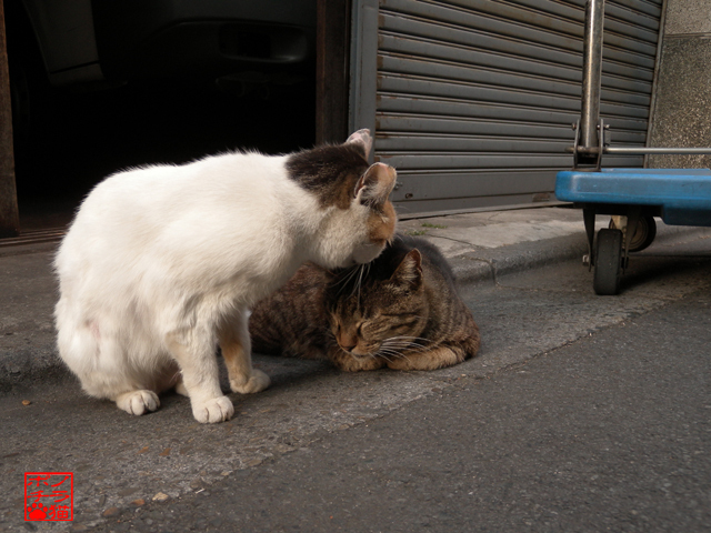 DSCN9657.jpg