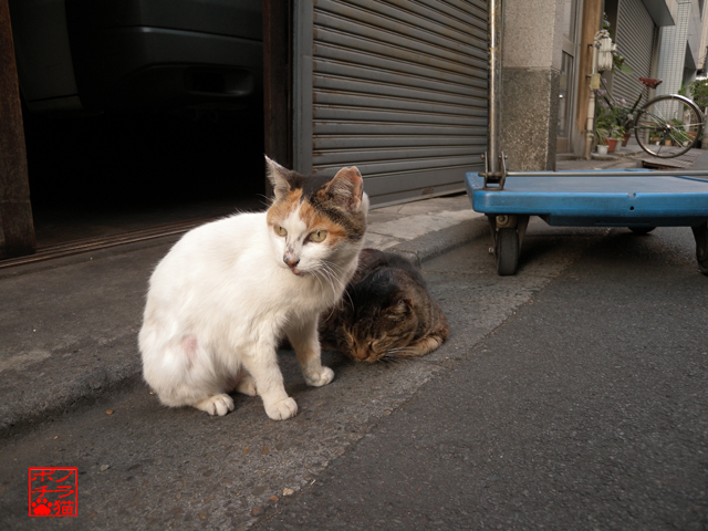 DSCN9660.jpg