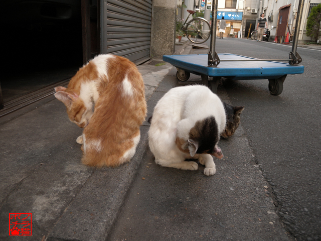DSCN9665.jpg