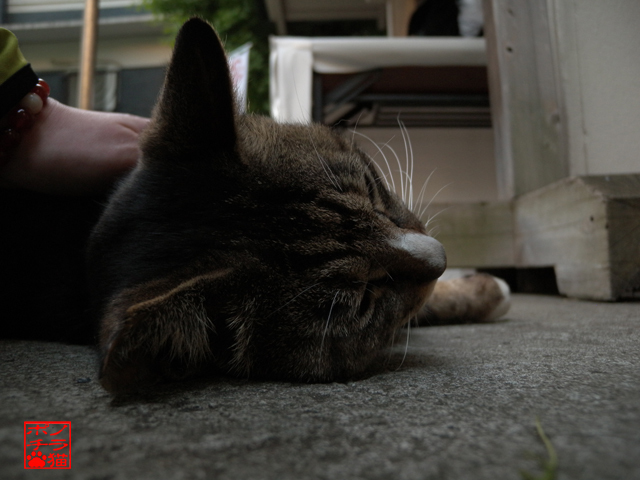 DSCN9680.jpg