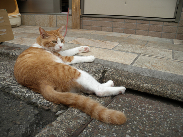 DSCN9683.jpg