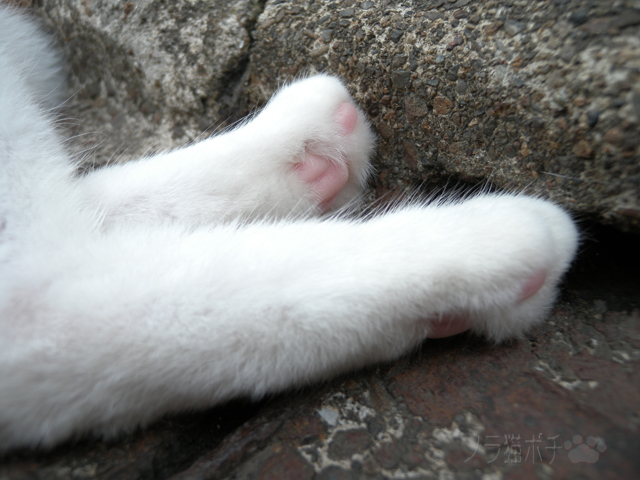 DSCN9685.jpg