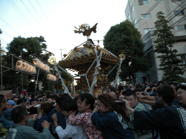 DSCN9689.jpg