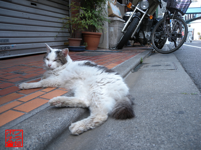 DSCN9693.jpg