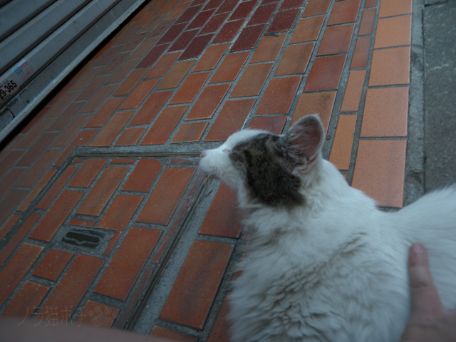 DSCN9696.jpg