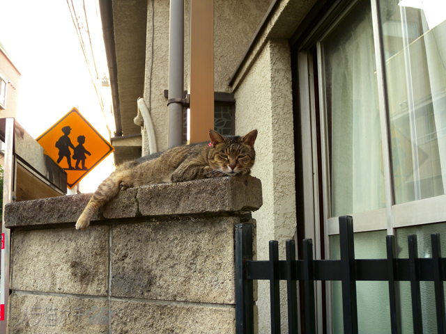 DSCN9722.jpg