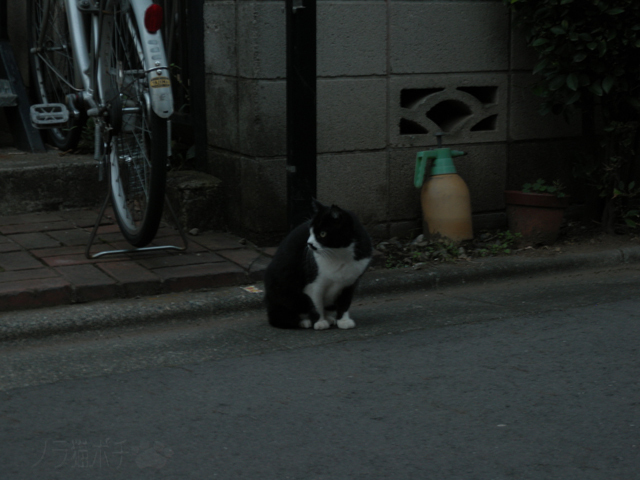 DSCN9725.jpg