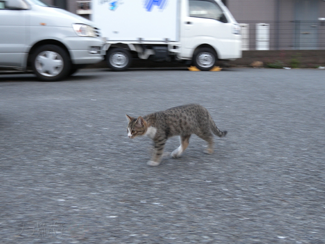 DSCN9749.jpg