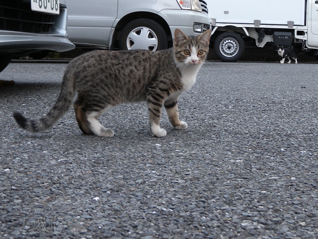 DSCN9753.jpg