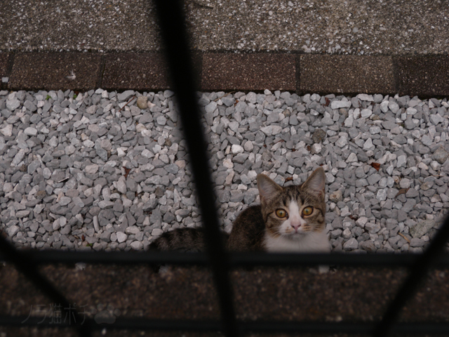 DSCN9763.jpg