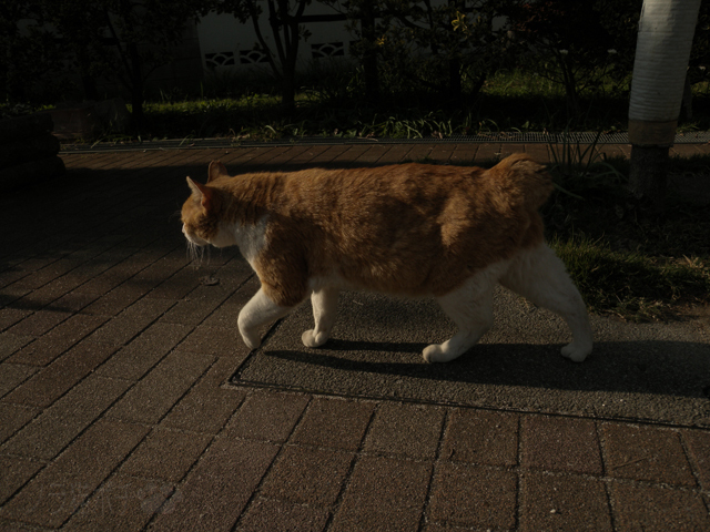 DSCN9791.jpg