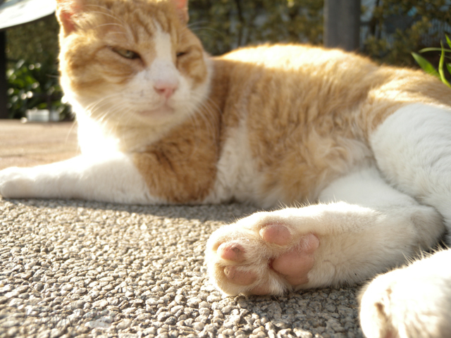 DSCN9793.jpg
