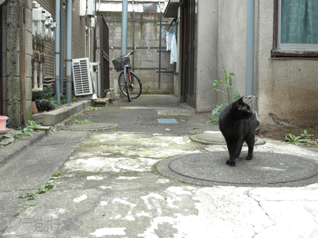 DSCN9800.jpg
