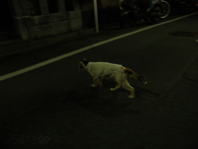 DSCN9834.jpg