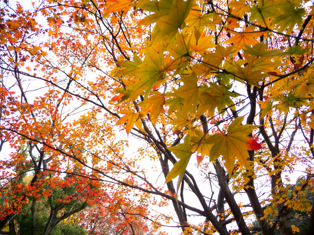 DSCN9862_2.jpg